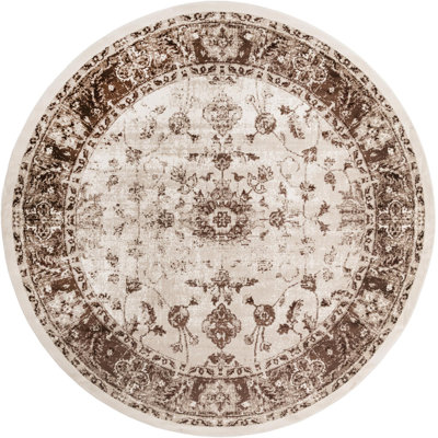 Emigdio Oriental Indoor Rug