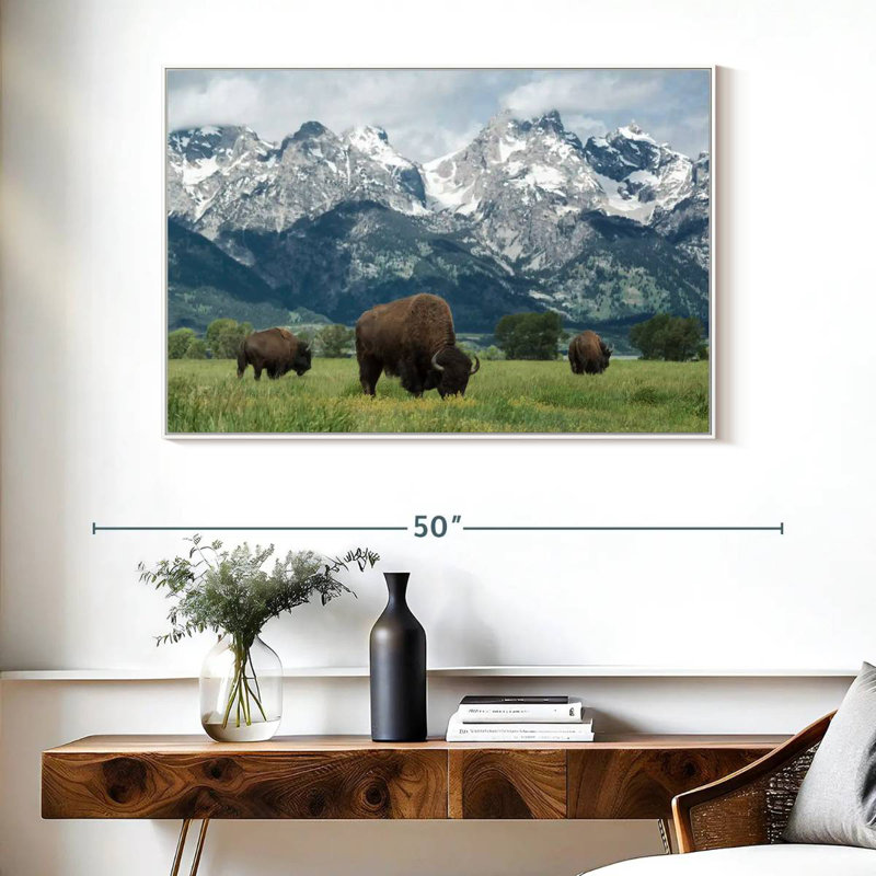 Bison Teton broutant, Cadre flottant blanc, 40 po x 27 po