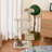 Octavio 254cm H Cat Tree
