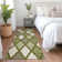 Premium Machine Washable Prisco Olive Rug