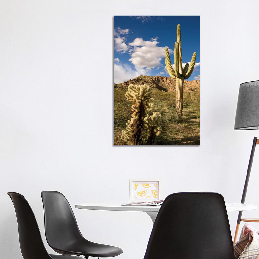 Saguaro Cactus In Desert, Arizona by Tom Vezo - Wrapped Canvas Print