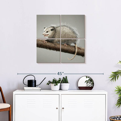 Brampt Snarky Opossum