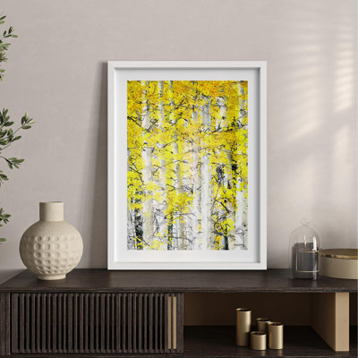 Bouleaux avec feuillage jaune, feuilles jaunes éclatantes, Illustration de la nature, petit décor