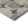 Premium Machine Washable Prisco Taupe Rug