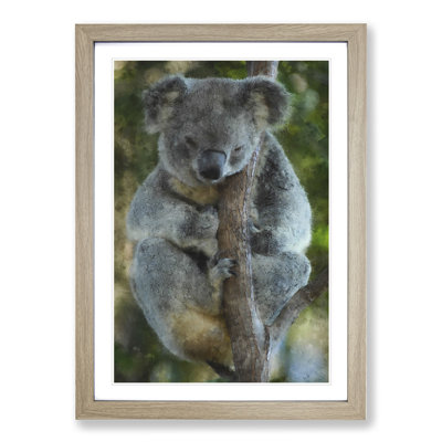 Koala Bear Vol.1 - Framed Print