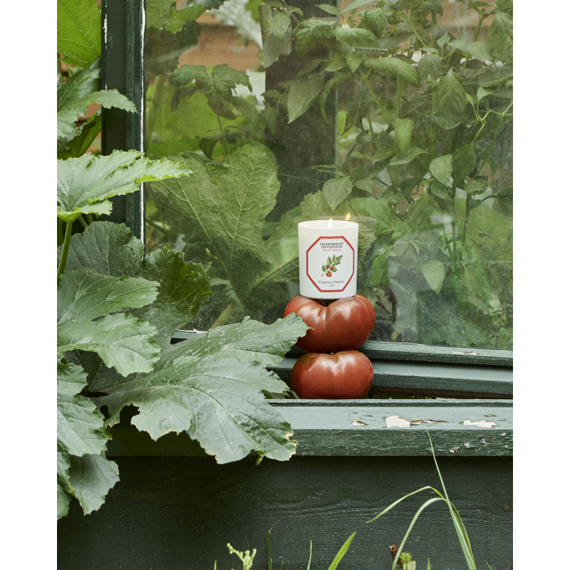 Tomato Candle