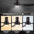 Edilberto 52'' Ceiling Fan with Lights-2003578981