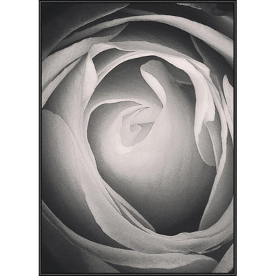 Nicole Gadiel - Single Picture Frame Print