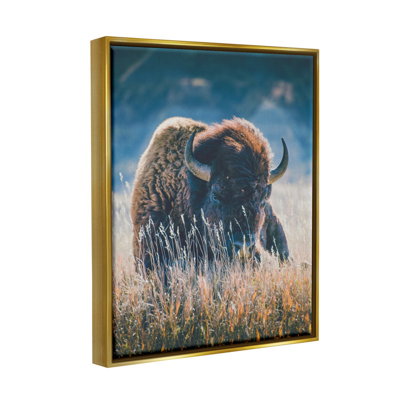«Stupell Industries Bison in Meadow», reproduction d'art sur toile par Annie Bailey Art, H 31 po x l 25 po x P 1,7 po