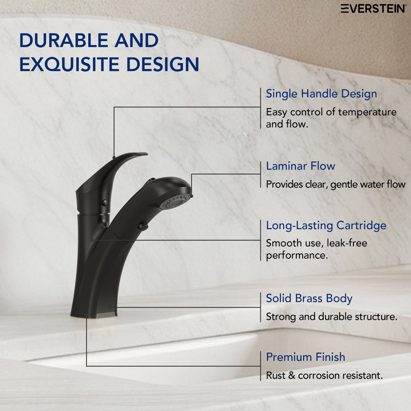 Single Hole Pull-Out Bathroom Faucet, 2-Function Sprayer Bathroom Sink Faucet with Drain Assembly, Matte Black
