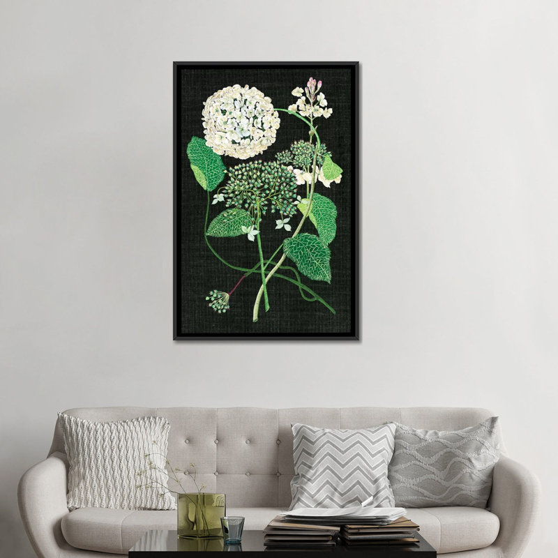 « white hortensia study i », impression sur toile, H 26 po x l 18 po x P 1,5 po, Toile avec cadre noir, Pas de tapis
