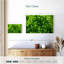Harnek Lime Heart I