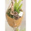 Ensemble de 2 succulent artificielles en pot