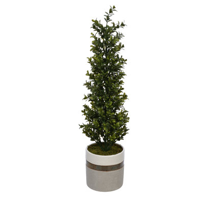 Faux Boxwood Topiary in Ceramic Pot
