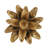 Coconut Palm Taper Candle Holder - 5" x 5" x 8.5" - Gold