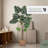 Latitude Run® Artificial Monstera Tropical Palm Tree Home Decoration, 72 Inches