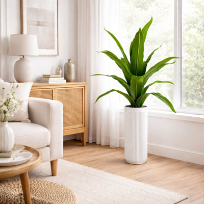 40 Inch Dracaena In Vertical Lined White Metal Planter