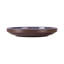 Stardust 9" Round Coupe Dinner Plate-66681818
