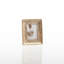 Nest Metal Picture Frame