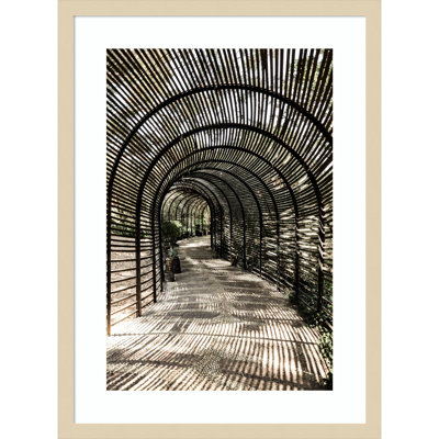 Nihan "Shadow Garden" Print