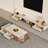 Modern simple telescopic coffee table TV stand