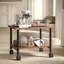 2-Tier Printer Cart with Storage Shelf
