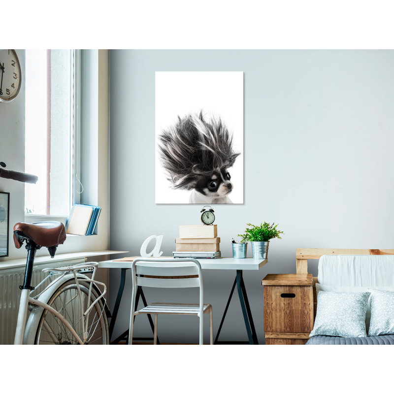 No Frame Print on Canvas, 40cm H x 60cm W