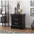 Modern Black 2-Drawer Nightstand for Bedroom Storage-1065450019