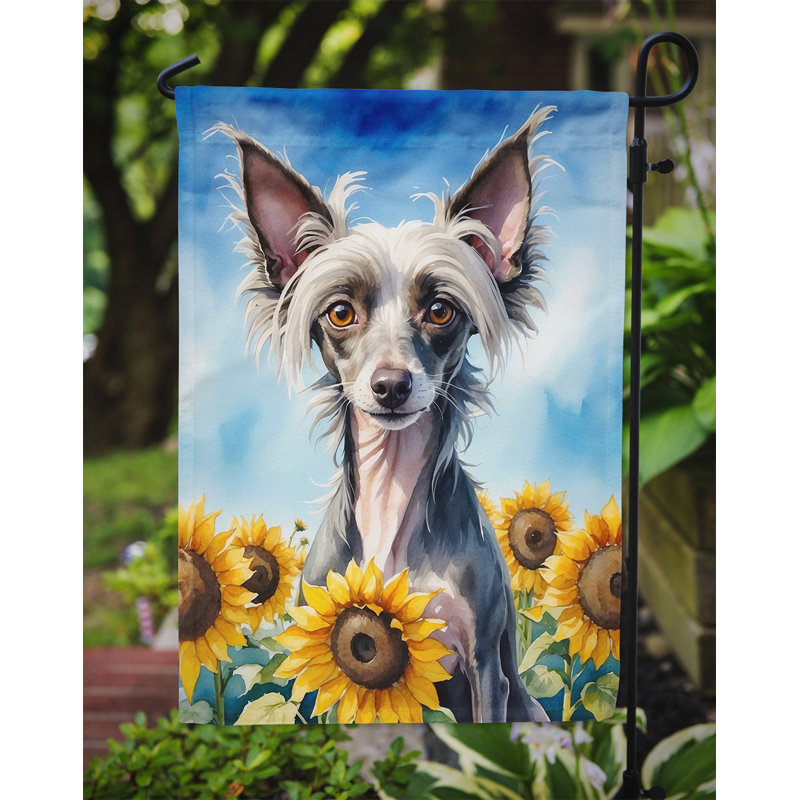 Lévrier irlandais dans le drapeau du jardin de tournesols, Chien chinois à crête