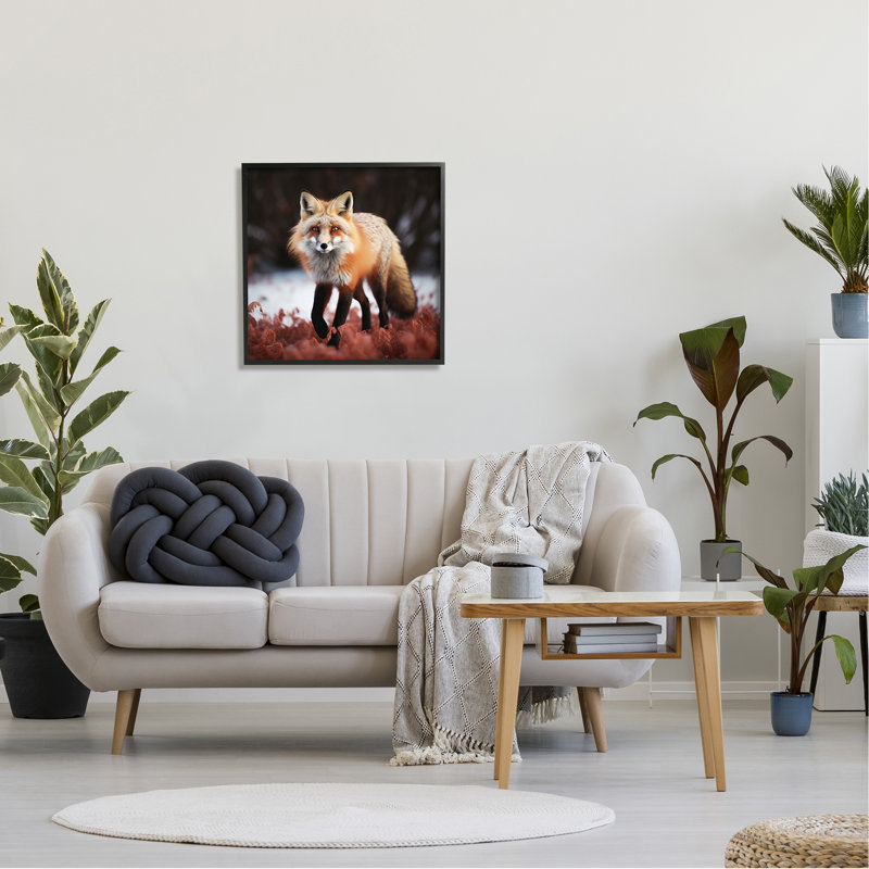 «Fox Cub in Nature», reproduction de photo sur toile, H 24 po x l 24 po, Giclée encadrée noir minuit