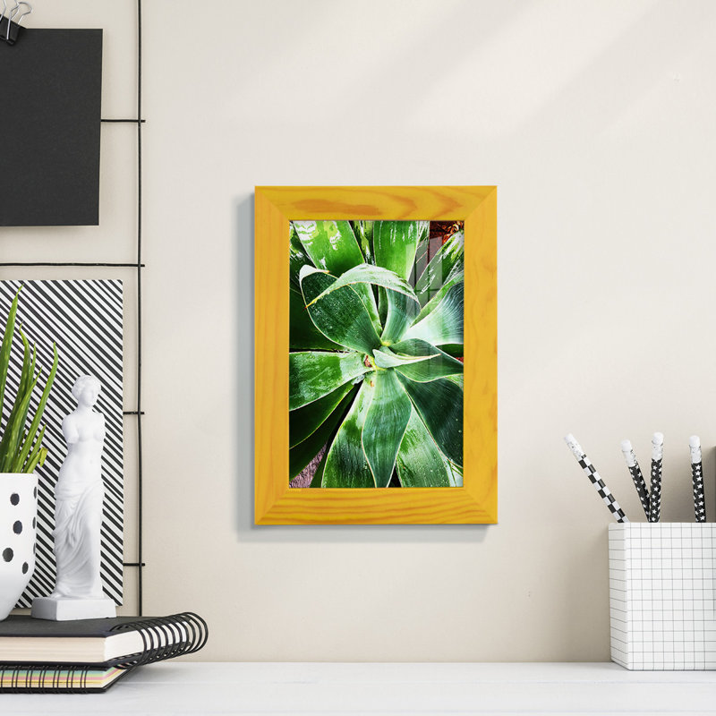 Green Tropical Succulent II - reproduction d'un seul cadre photo, H 6 po x l 4 po x P 1 po, Jaune