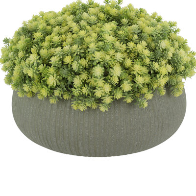 Sedum Arrangement in Fiberstone Pot