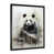 Black Picture Framed