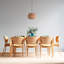 Lantern Pendant Light 1-light Prunedale-418499087-418721984