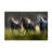 Milan Malovrh  Aura Canvas Art-444646507