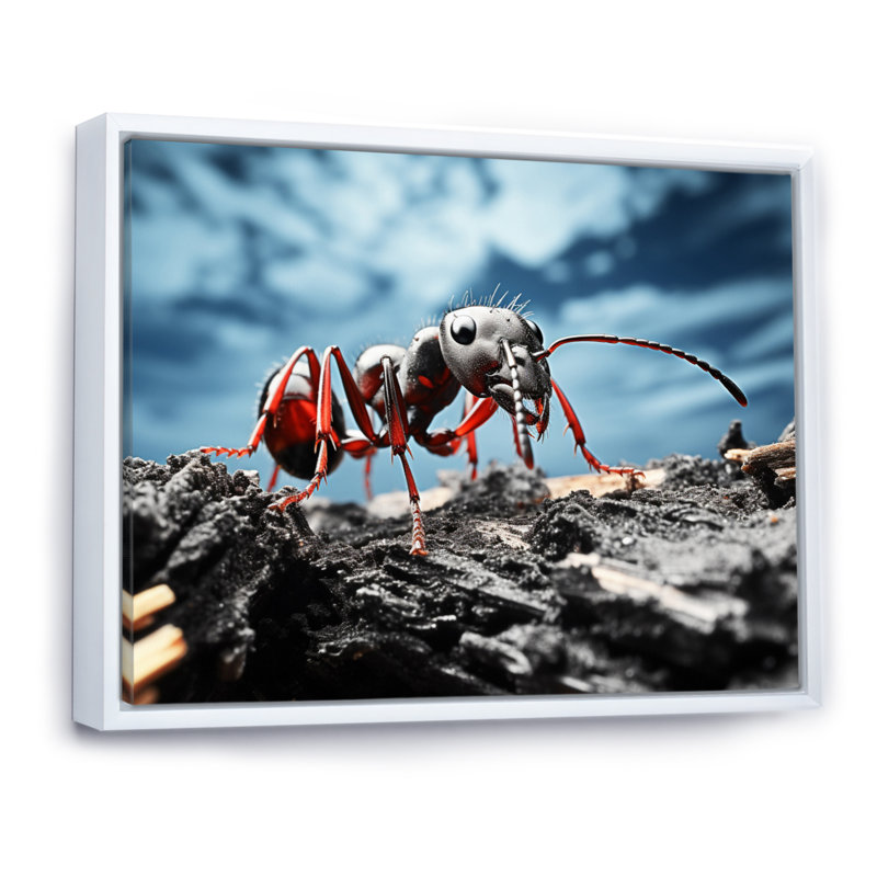 Ant Industrious I, reproduction d'art sur toile, H 12 po x l 20 po x P 1 po, Cadre flottant blanc