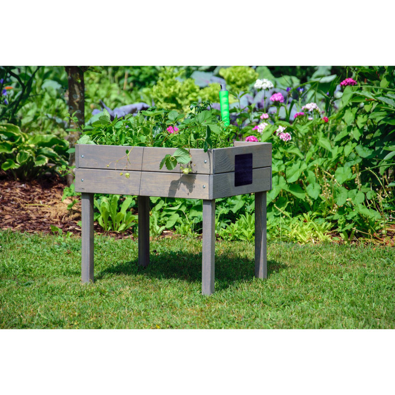Aakiyah Wood Elevated Planter, Woman