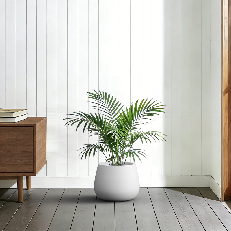 10 in. Medium Bright White Concrete Round Planter / Pot with Drainage Holes for Indoor & Outdoor, Pearl White