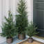 SEASONAL GREENERY TREE PINE BSKT 4FT
