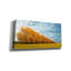 «Autumn Colors 1» par Carlos Casamayor, art mural sur toile-1315983619