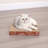 Petpals Cardboard Scratcher - 12"h, Four-pack, Replaceable, Cardboard Scratcher