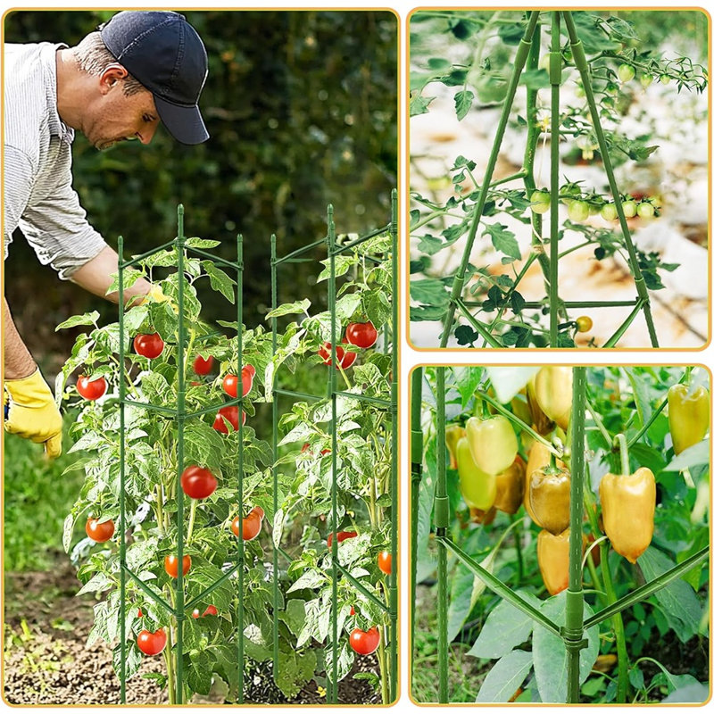 Paquet de 6 cages à tomates triangulaires de 48 po pour jardin