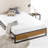 Abigail Bed Frame-95735854-95735851