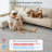 Celeta Washable Abstract Japandi Rainbow Striped Gray Area Rug - Colorful Modern Carpet for Living Room, Bedroom, or Office Decor-1717881212