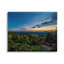 «Dense Brush Sunset Landscape Blue Sky Modern»-65638659-65638660