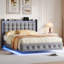 Upholstered Bed-2019643730-2019643729