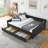 Upholstered Queen Size Daybed with Drawers-767293344-767293345