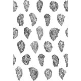 Oysters