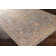 Allie Oriental Indoor Rug