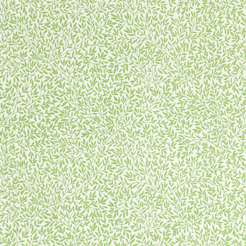 Standen 10.05m x 52cm Matte Wallpaper Roll, Green